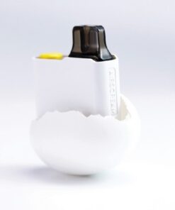 Airscream egg in egg